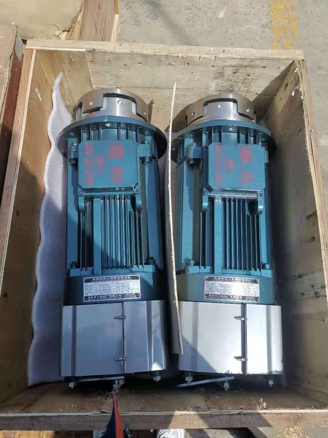 电机1.jpg